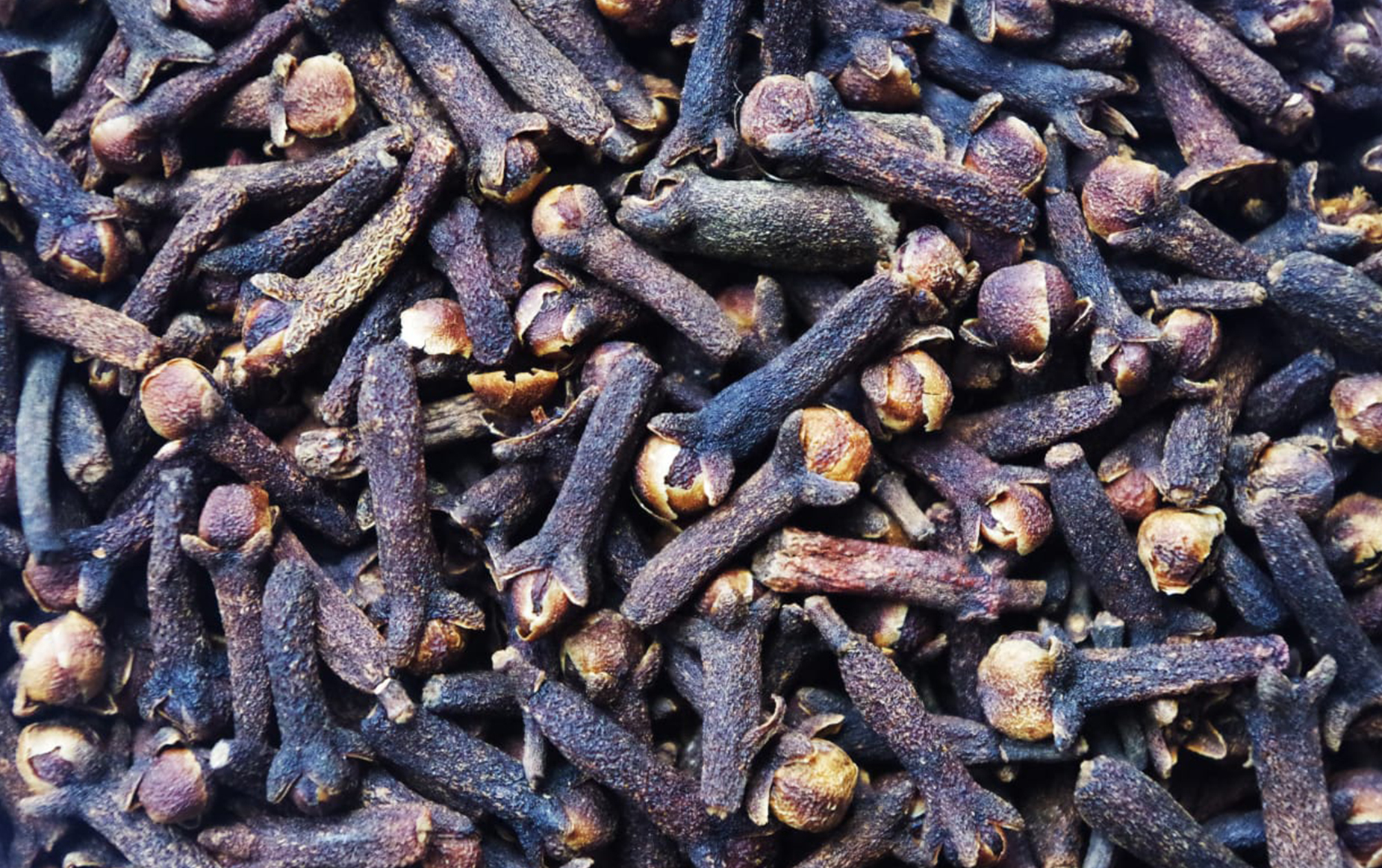 Ceylon-Cloves